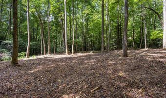 2 9 AC Chestnut Flats Rd, Andrews, NC 28901