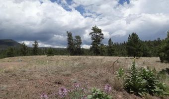 Lot 24a The Ranch At Alpine, Alpine, AZ 85920