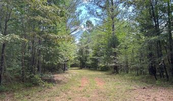 Pleasant Hill Road, Ashland, MS 38603