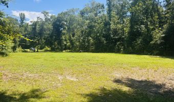 1042 Lake Cadeli Rd, Bartow, GA 30413