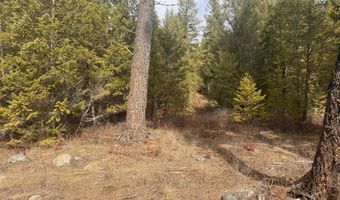 NKA E Lowland Drive, Athol, ID 83801