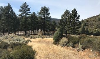 1 Butterfly Peak Rd, Mountain Center, CA 92561