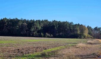 0 Three Mile Rd, Atmore, AL 36502