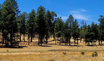 Tbd STONE CREEK RD CR 2117, Alpine, AZ 85920