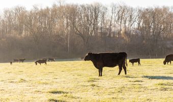 Farm Road 2007, Aurora, MO 65605