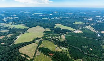 20 Ac State Hwy 95 Columbia Rd, Abbeville, AL 36310