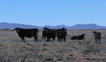 736 Upham Rd, Elephant Butte, NM 87935