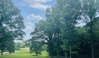 3202 OTIS PLUNK, Bethel Springs, TN 38315