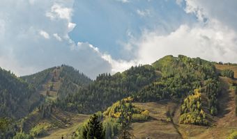 219 N Monarch St, Aspen, CO 81611