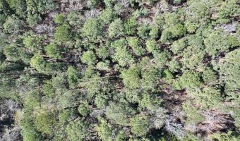 0 Lot 2 Creek Place Rd, Arapahoe, NC 28510
