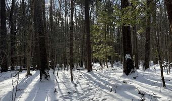 Lot 80-1 Currier Road, Candia, NH 03034