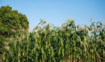 1175 Hagen Way Ashland, Ashland, OR 97520