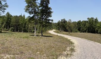 Ccc Road 025-08-01-001, Beech Island, SC 29842
