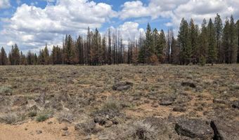 Bull Pine Road, Bly, OR 97622