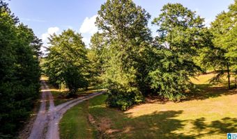 3010 OLD MILL Rd, Ashland, AL 36251