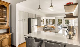 1036 Red Mountain Rd, Aspen, CO 81611