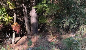 Lot 5 South Galaxie, Abbeville, AL 36310