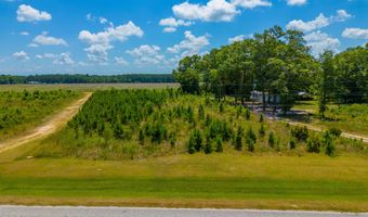 0 Tract 1 Lake Mayers Rd, Baxley, GA 31513