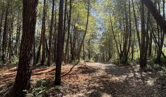 Agness-Illahe Rd, Agness, OR 97406