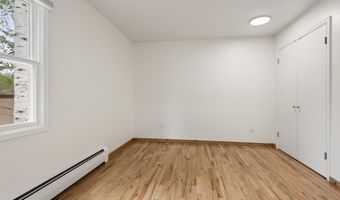 415 Pacific Ave C, Aspen, CO 81611
