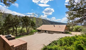 561 Booth Ln, Basalt, CO 81621