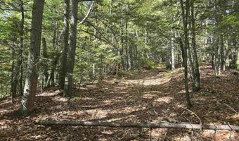 00 Thorn Hill Rd 54-L0E, Bartlett, NH 03812