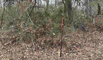 ELLY RD lot 50 81, Aroda, VA 22709