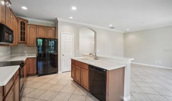 127 SILVER FALLS Dr, Apollo Beach, FL 33572