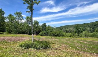 0 Woodland Hills Rd, Andes, NY 13731