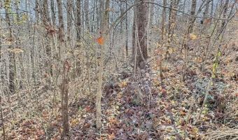 0 Reed Creek Dr, Bassett, VA 24055