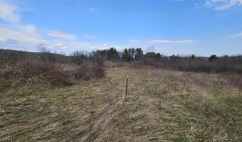 295 Shellstone Rd, Amsterdam, NY 12010