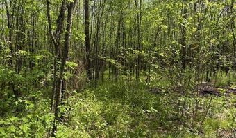 105 106 TOWBOAT Ln Lot 105 106, Adamsville, TN 38310