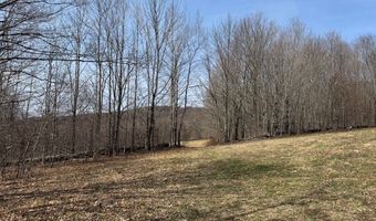 Lot 2 Doig Hollow Road, Andes, NY 13731