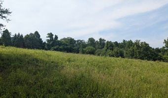 Paradise Mountain Lane lot 2, Bean Station, TN 37708