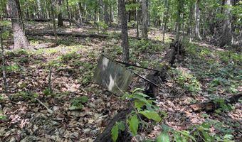 COLVIN SPRINGS ROAD 6, Ashville, AL 35953