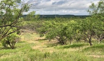 172 FM 601, Albany, TX 76430