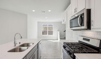 1012 Amenduni Ln, Anna, TX 75409