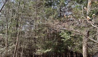 385 ELK CREEK Rd, Aaronsburg, PA 16820