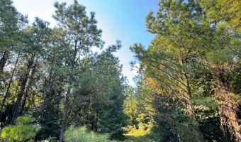 0 Military Rd, Beaverton, AL 35544