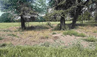 LOT 6 Leach Woods East CR 1560, Alba, TX 75410