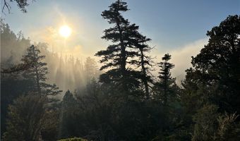 Ironwood, Angelus Oaks, CA 92305