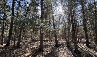 2254 E M30, Alger, MI 48610