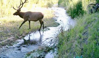 888 Las Palomas Canyon Rd, Caballo, NM 87942