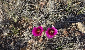 450 Arizona Rd, Ash Fork, AZ 86320