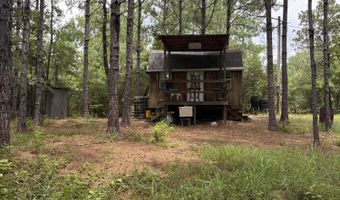 259 Forest Lake Rd, Beaumont, MS 39423