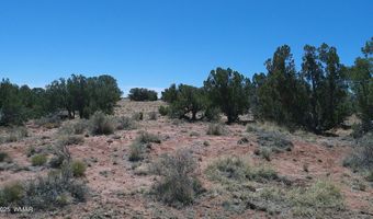 Tbd Rio Ranch, Concho, AZ 85924