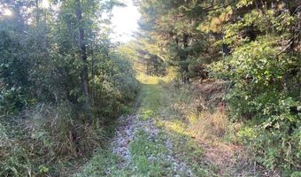 V/L S M-33, Alger, MI 48610