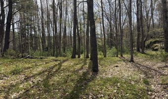 Freda's Lane, Arrowsic, ME 04530