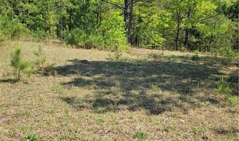 601 HERBERT BROWN Rd, Auburn, AL 36830