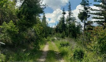 Arlee Pines lot 21, Arlee, MT 59821